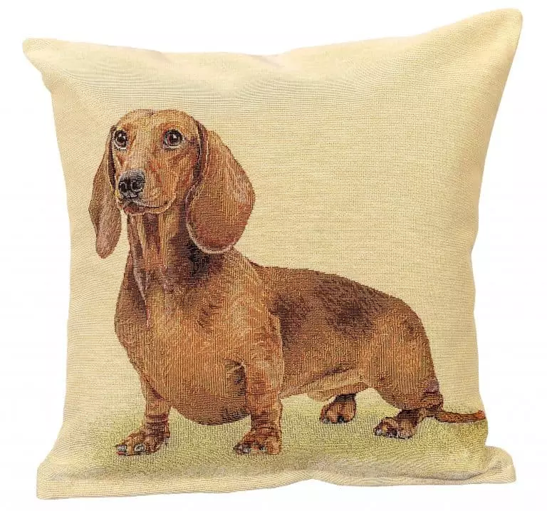 Poszewka na poduszkę Brązowy jamnik